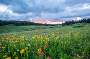 트래블로그 체크카드 사용방법 발급