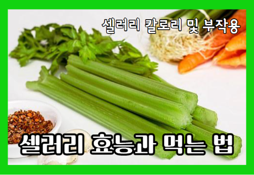 셀러리 효능 10가지와 먹는 법 및 부작용