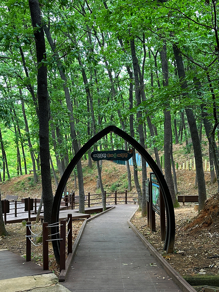 숲체험원