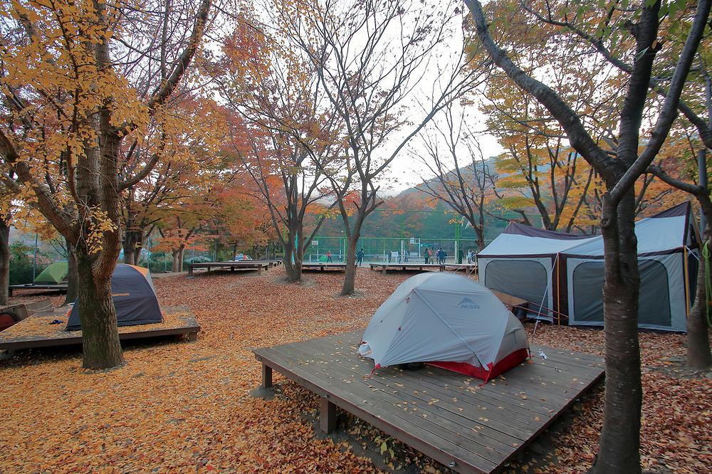 캠퍼의 성지 함허동천야영장 소개