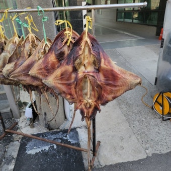 동해 북평 5일장에서 만날 수 있는 명물들