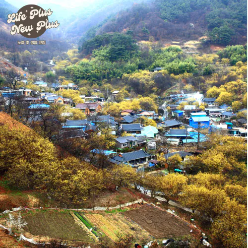 구례산성