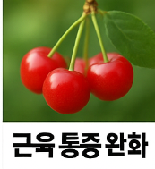 앵두 효능