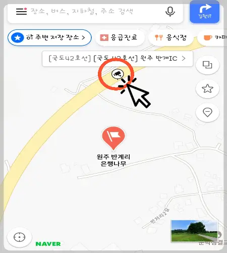 반계리 은행나무 실시간_2