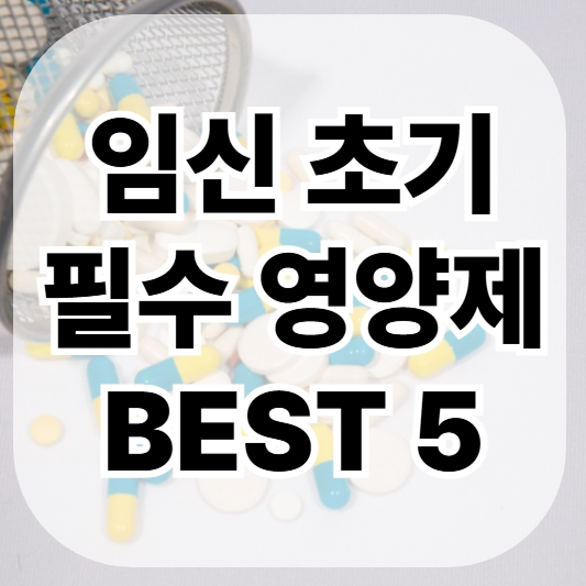 임신 초기 필수 영양제