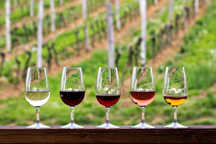 와인 루트 (Cape Winelands)