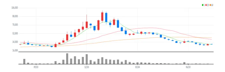 네오위즈홀딩스 주봉