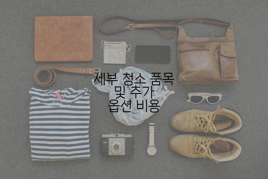 세부 청소 품목 및 추가 옵션 비용