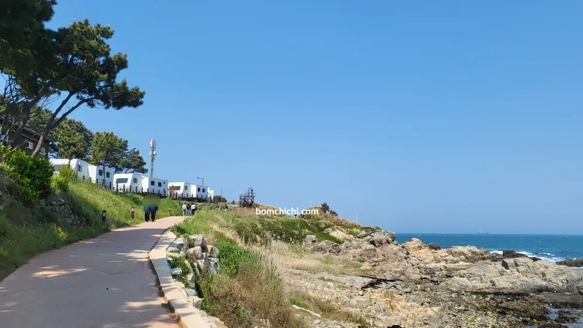 대왕암공원 오토 캠핑장 근처 바닷길 전경