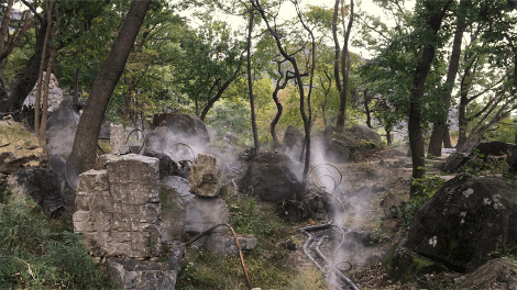 반려동물과 함께하는 가을 정원 여행지 추천 : 한국수목원정원관리원 선정 BEST 5