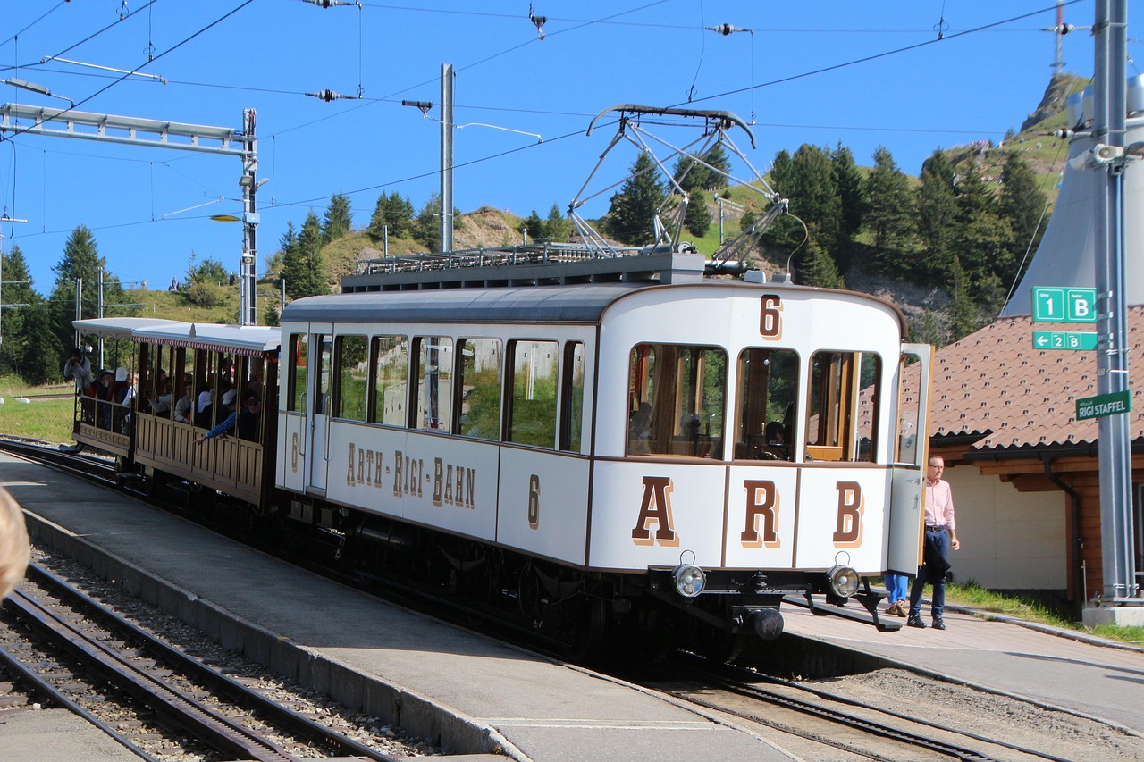 리기 파노라마 트레일 기차