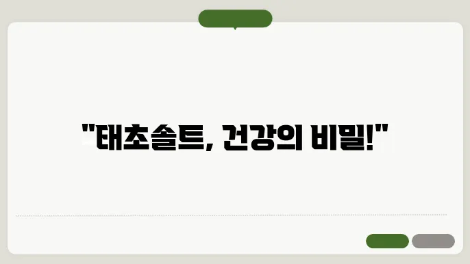 태초솔트와 핑크솔트의 차이점
