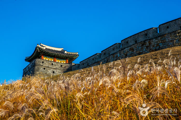 수원 가볼만한곳 베스트 10