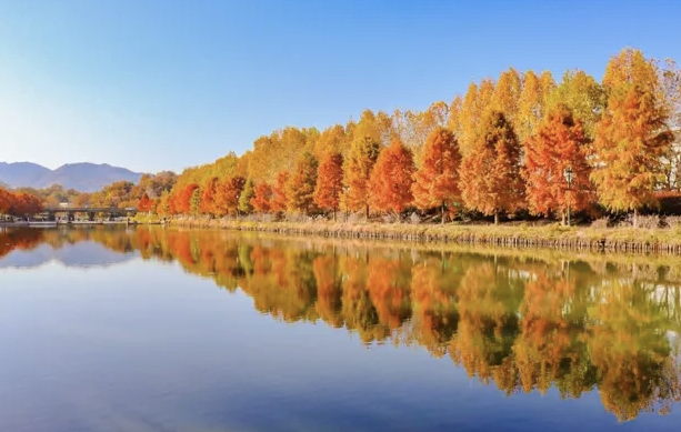 전남 담양 여행지 이미지