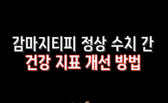 감마지티피 높으면