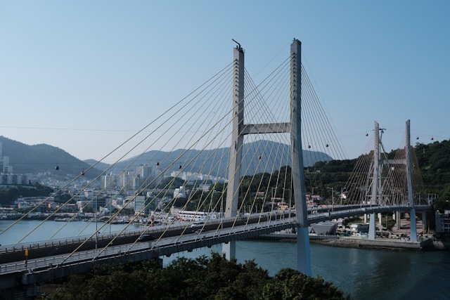 2026여수 벚꽃 개화시기 중앙여고 벚꽃 터널·거북선공원 주차