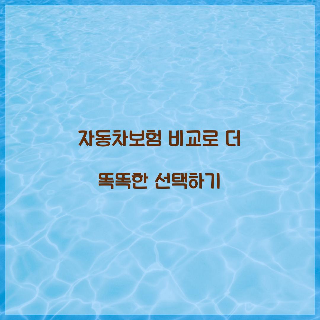 자동차보험 비교