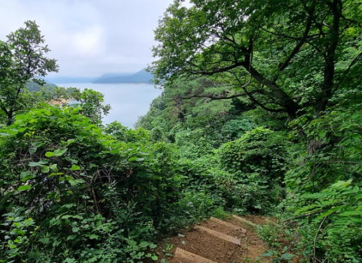 파로호 둘레길 오솔길