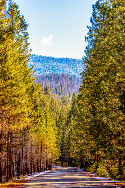국립자연휴양림-예약-꿀팁 