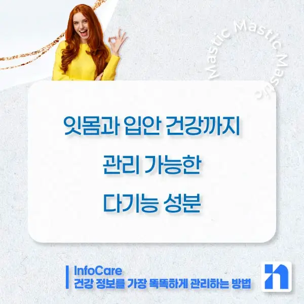 매스틱 매스틱검 효능 효과