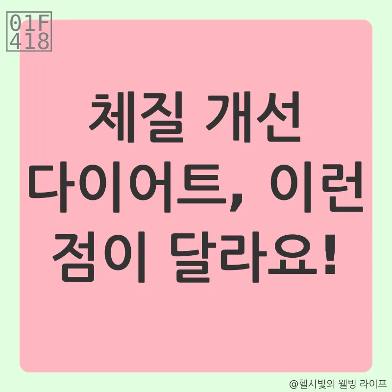 체질 개선 다이어트_2