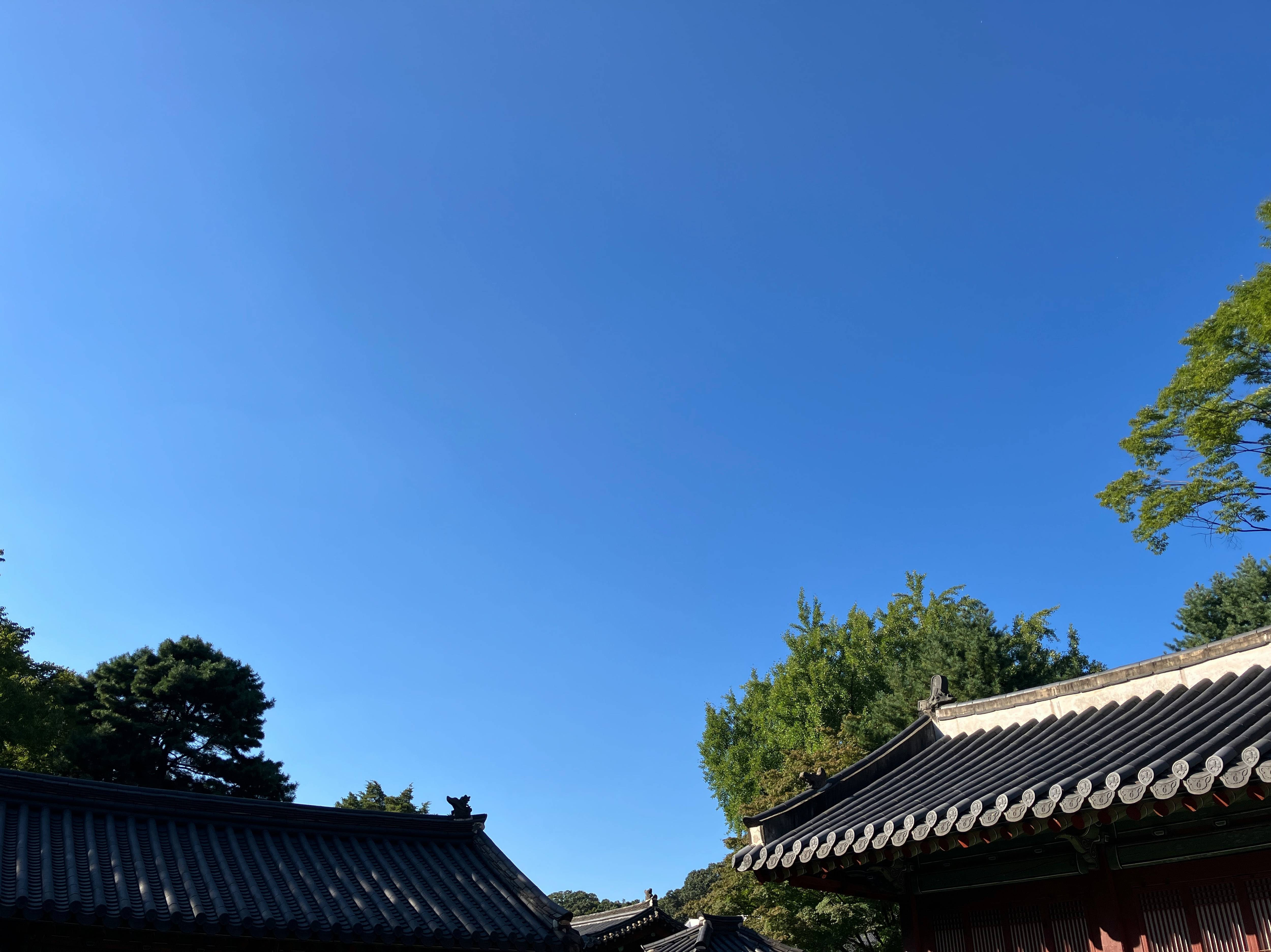 한국 이미지