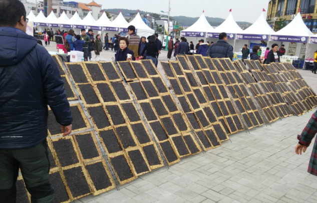 김체험