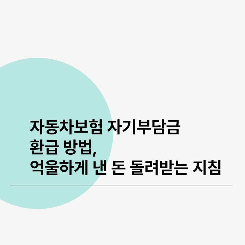 자동차보험 자기부담금 환급 방법, 억울하게 낸 돈 돌려받는 지침