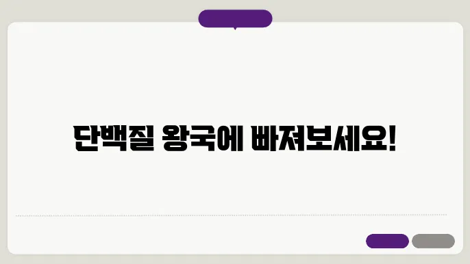 단백질이 풍부한 식사 아이디어