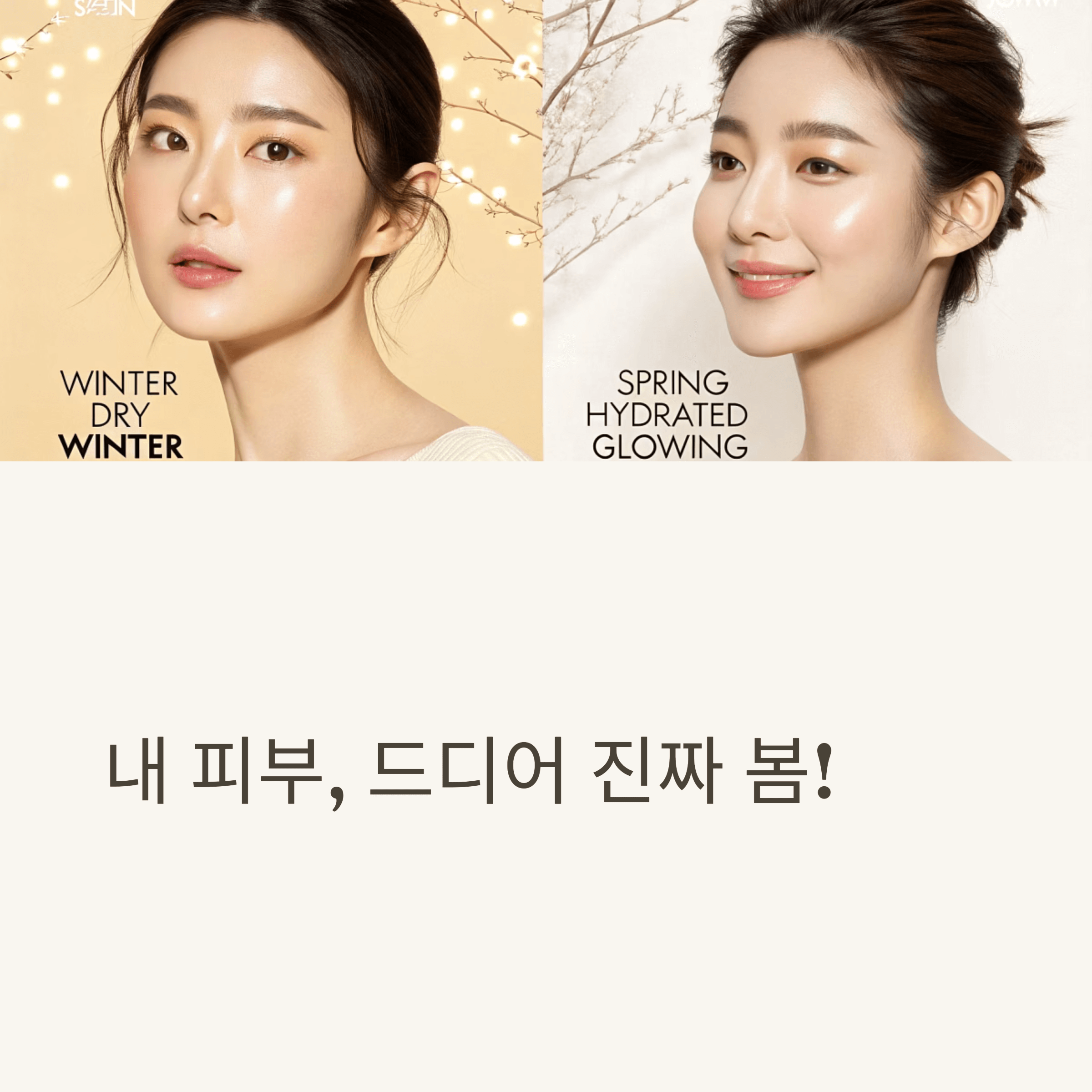 Comparison of winter dry skin versus spring glowing hydrated Korean skin