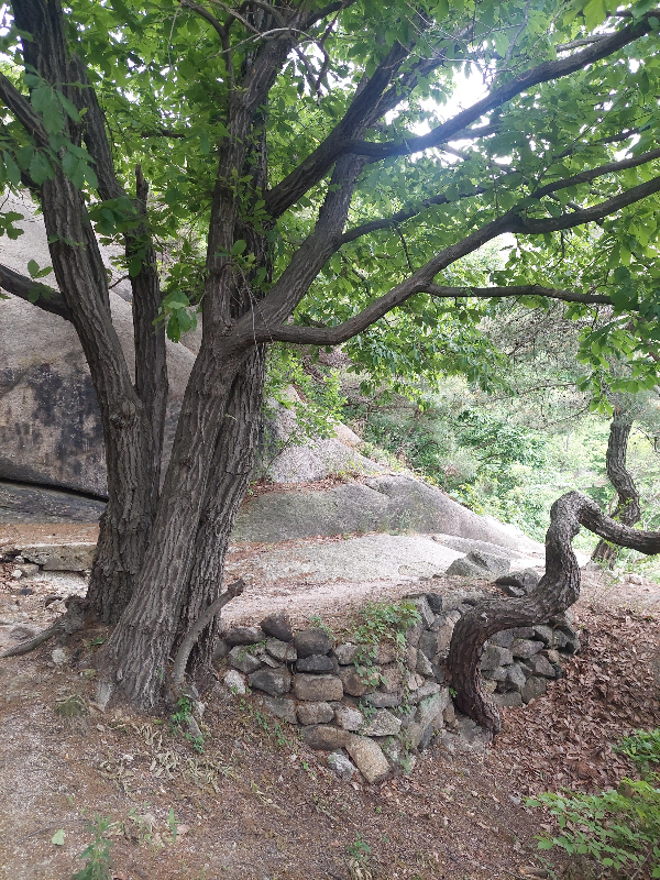 인왕산