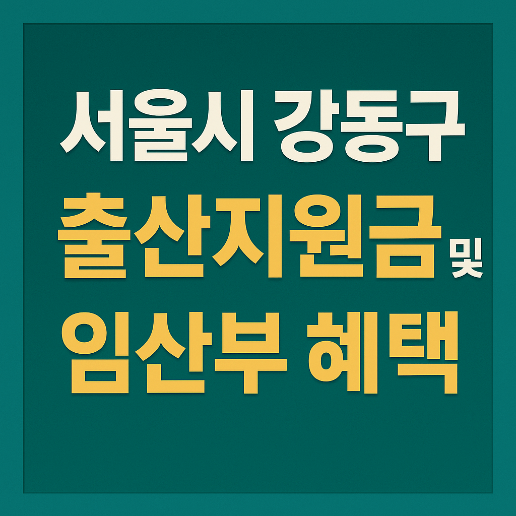 서울시 강동구 출산지원금 및 임산부 혜택