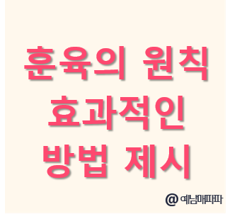 훈육 기본 원칙 효과적인 방법 타임아웃 기법