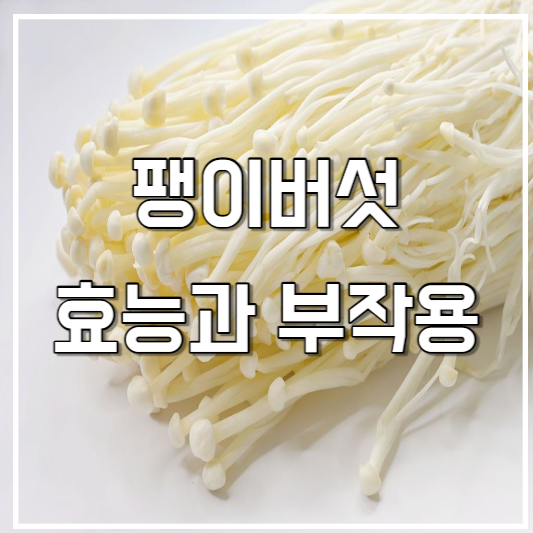 팽이버섯 효능과 부작용