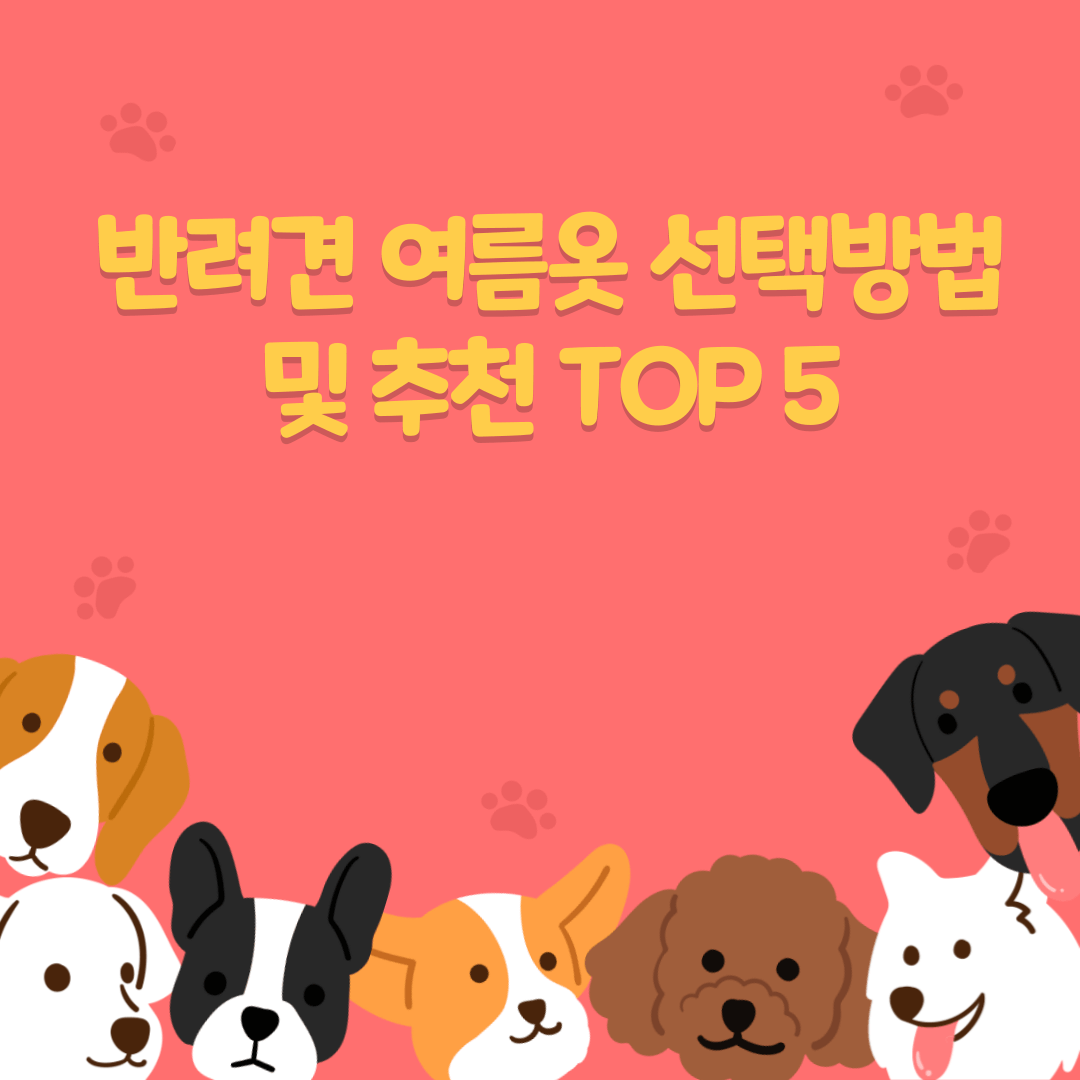 반려견 여름옷 선택방법 및 추천 TOP5
