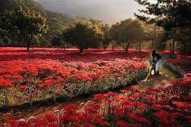 9월 국내여행지 베스트10 추천