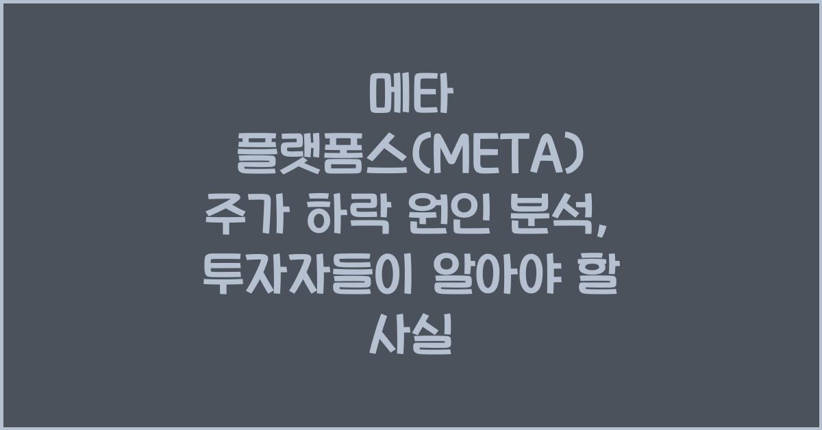 메타 플랫폼스(META) 주가 하락 원인