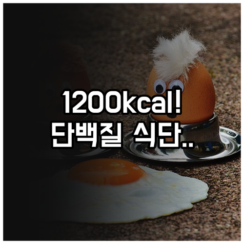 체중 감량을 돕는 1200칼로리 단백..