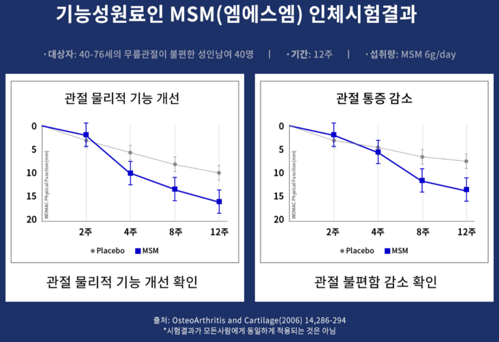 MSM-인체실험-결과