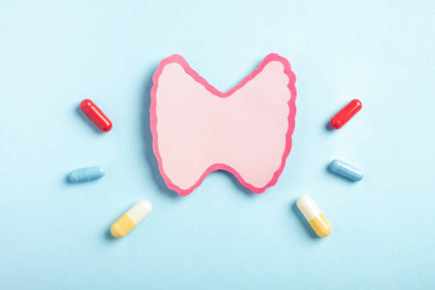 갑상선항진증 좋은 음식 보기