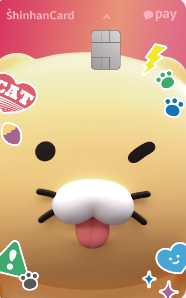 카카오페이 신한카드