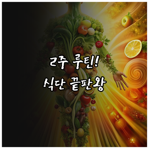 초보 다이어트 2주 루틴 식사 구성과..