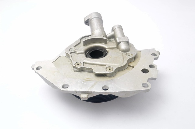 동원예비군 기간 불참 연기하기