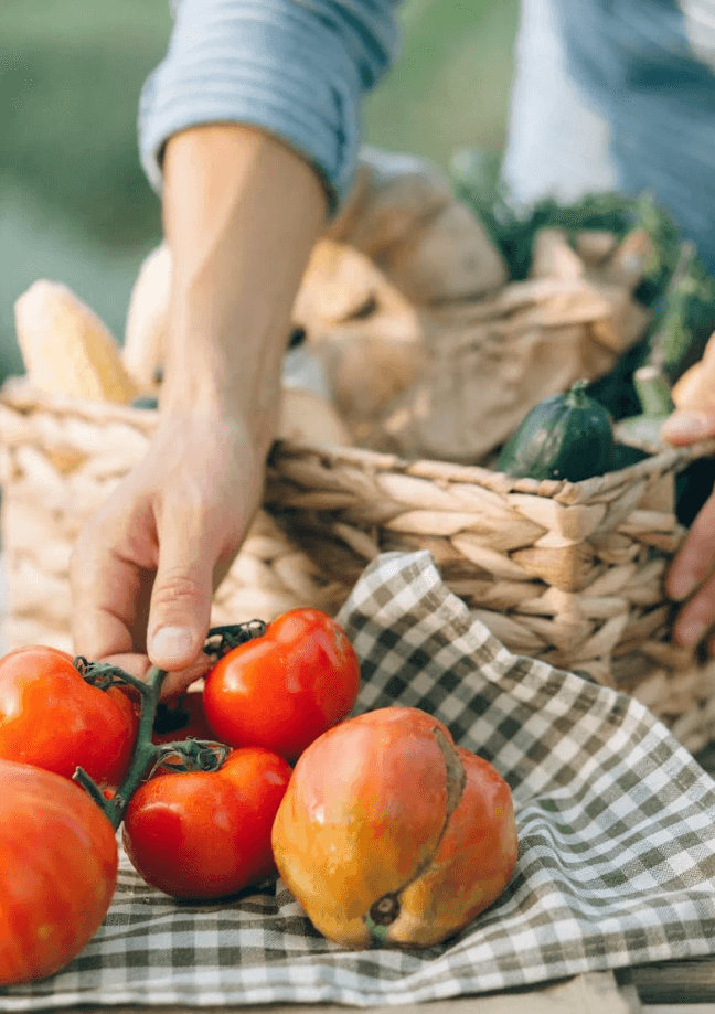 제로웨이스트 학교급식과 지속 가능한 식문화 교육