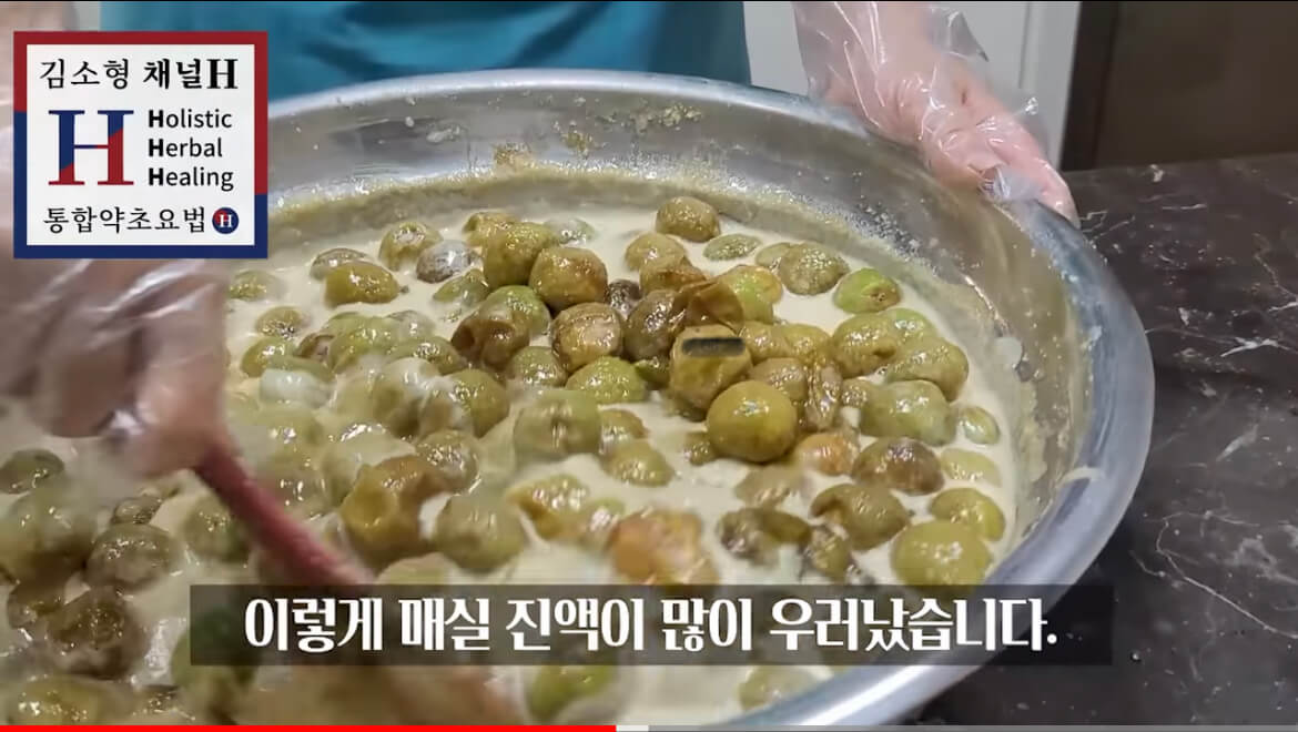 김소형 매실청 담그는 법