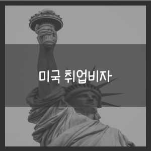 미국 취업비자