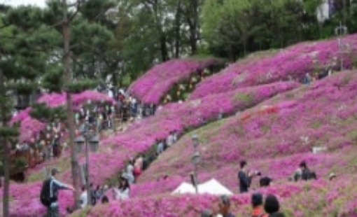 군포 철쭉축제 초대가수 및 일정 총정리