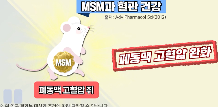 msm의 효능