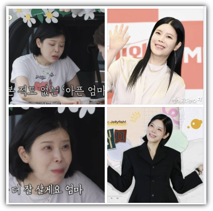 가수 린 나이, 키, 학력, 프로필, 재산, 수입, 근황, 남편 이수, 이혼, 미우새 출연, 반응 및 향후 전망