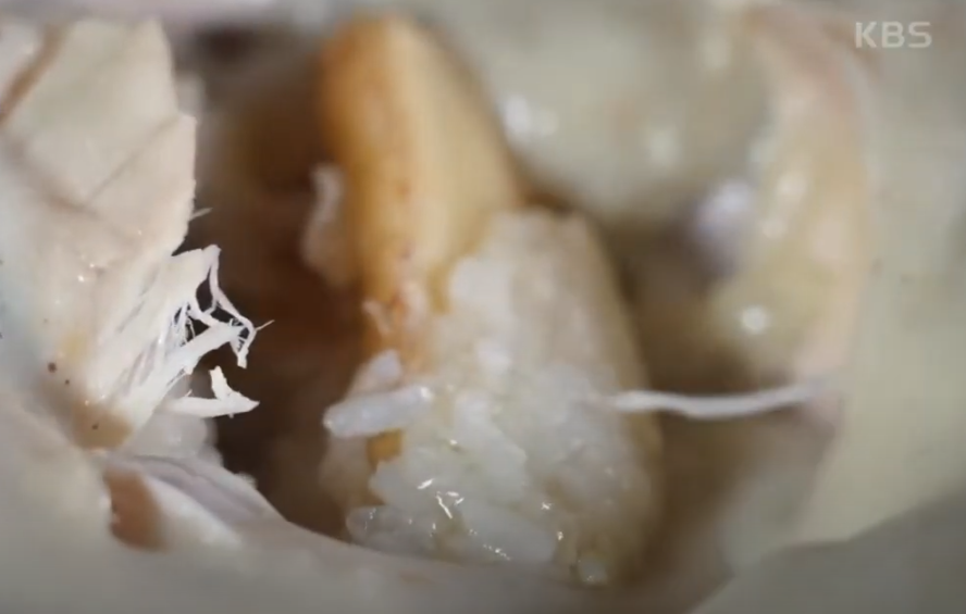 들깨 삼계탕 맛집 생생정보통 소개 KBS 210628 방송13